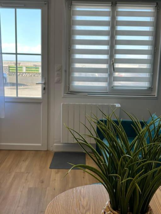 Appartement Macoco Front De Mer 카이유쉬르메르 외부 사진